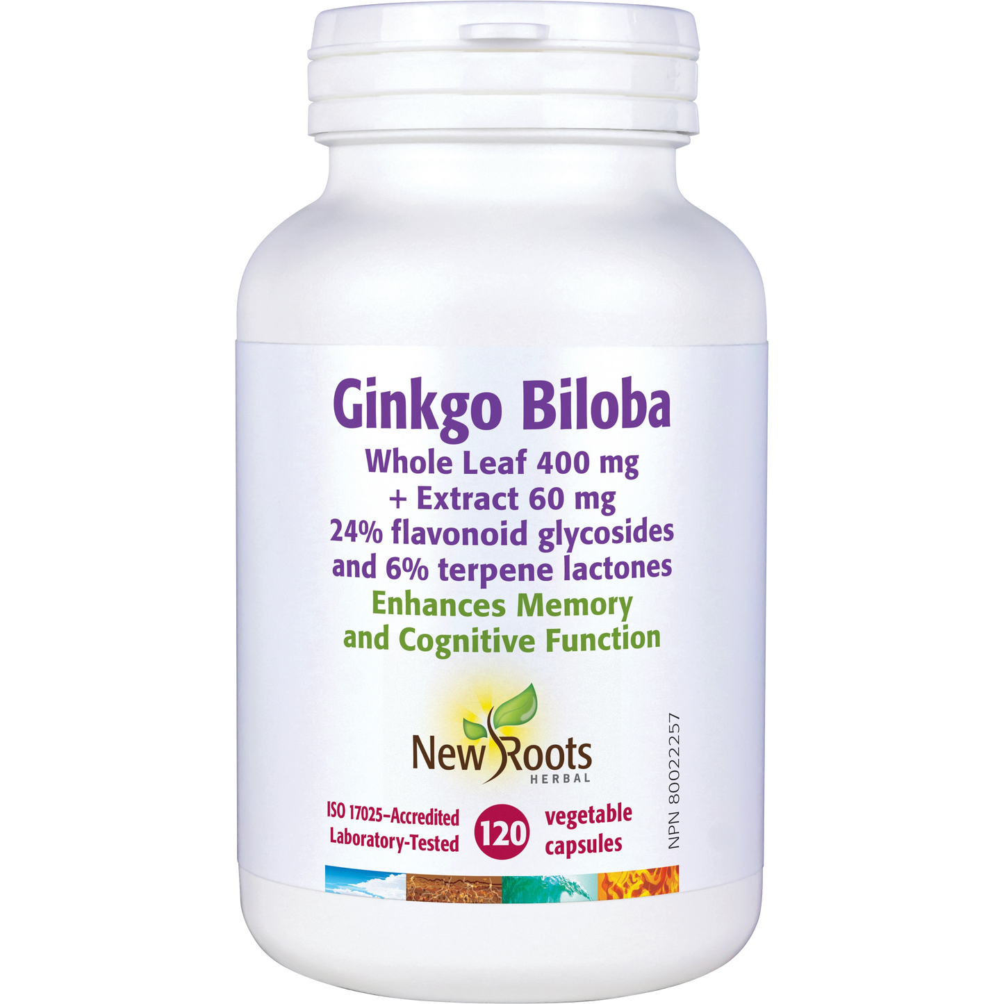 Ginkgo Biloba