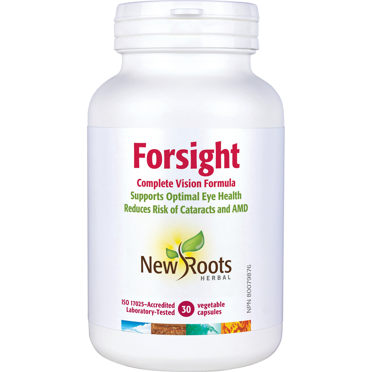 Forsight