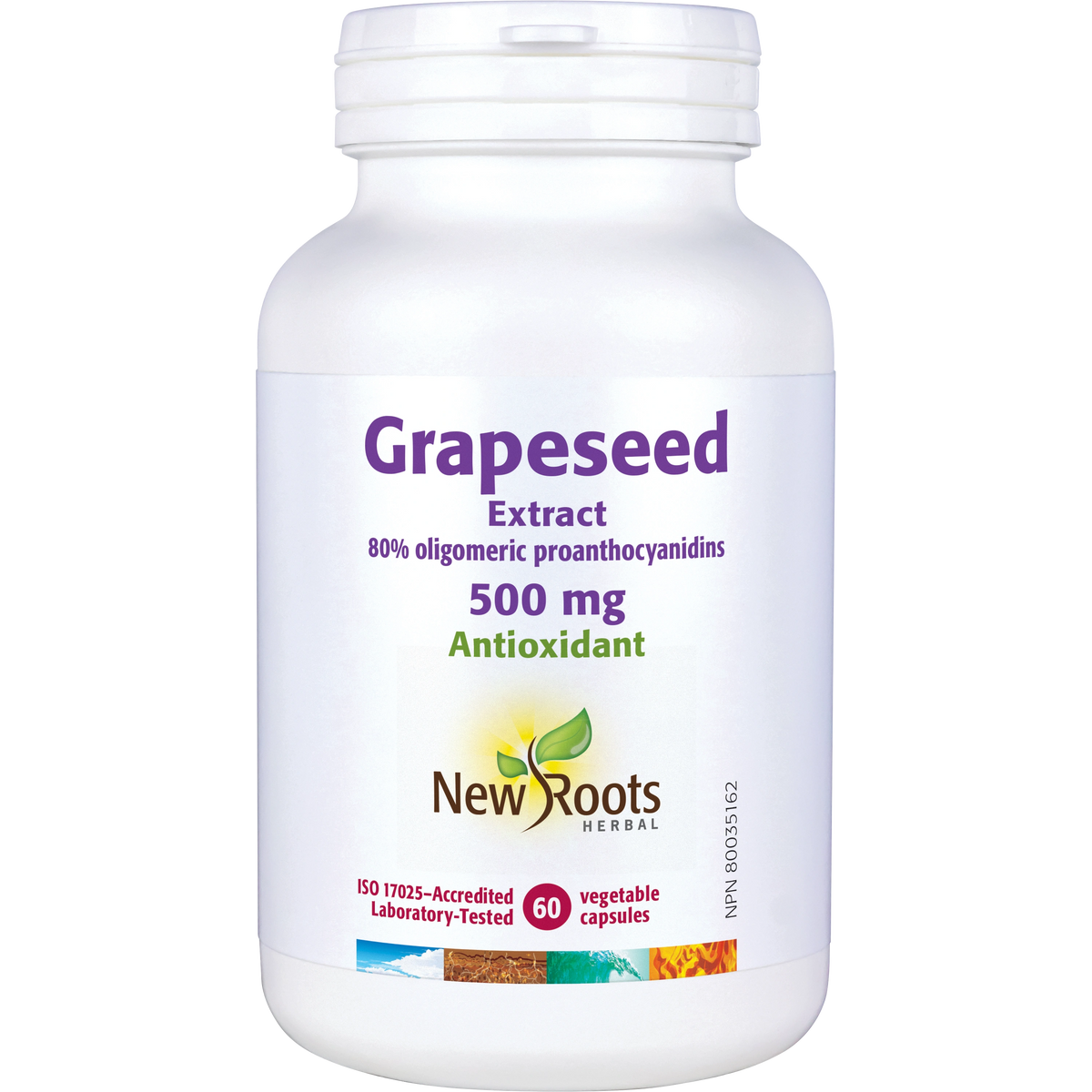 Grapeseed Extract