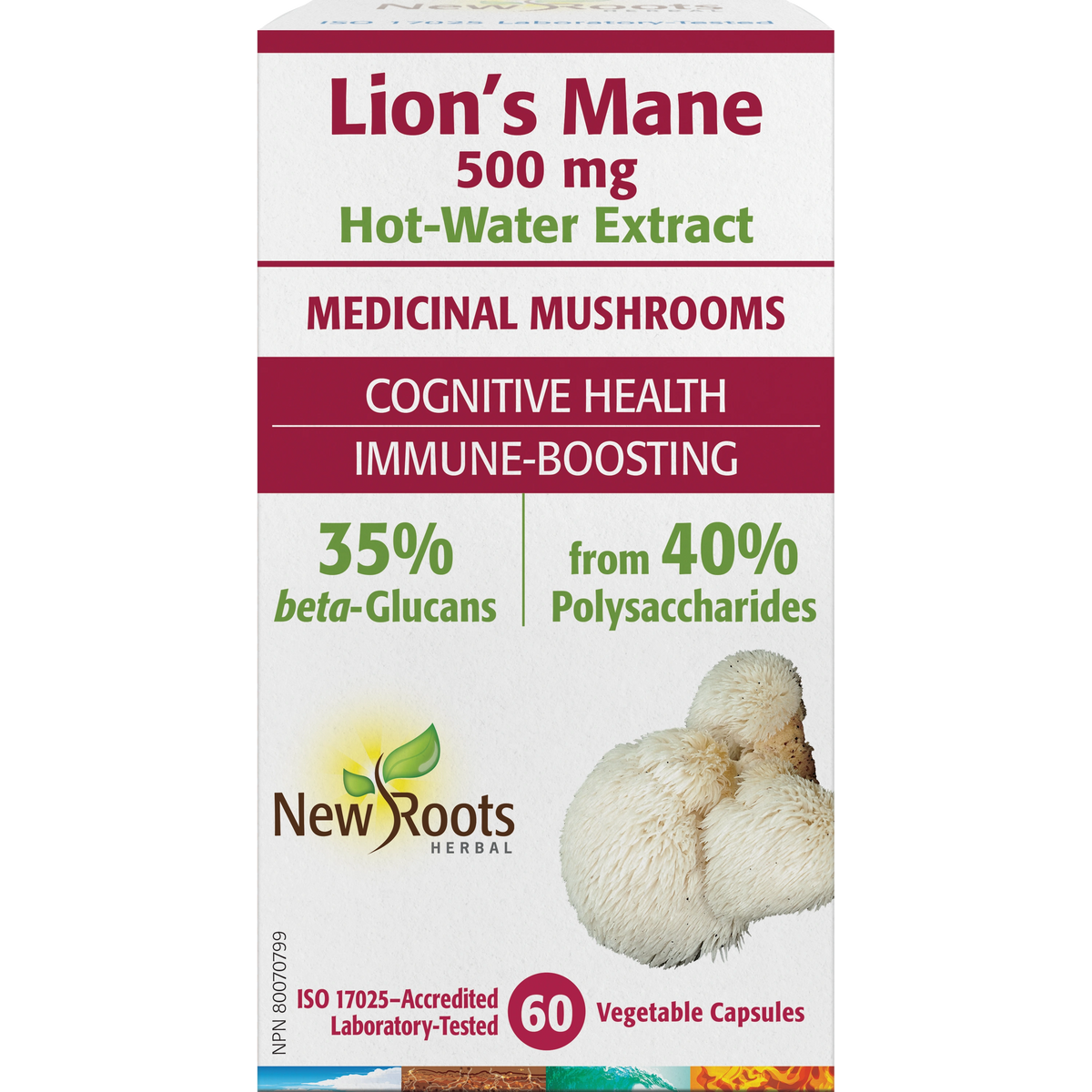 Lion’s Mane