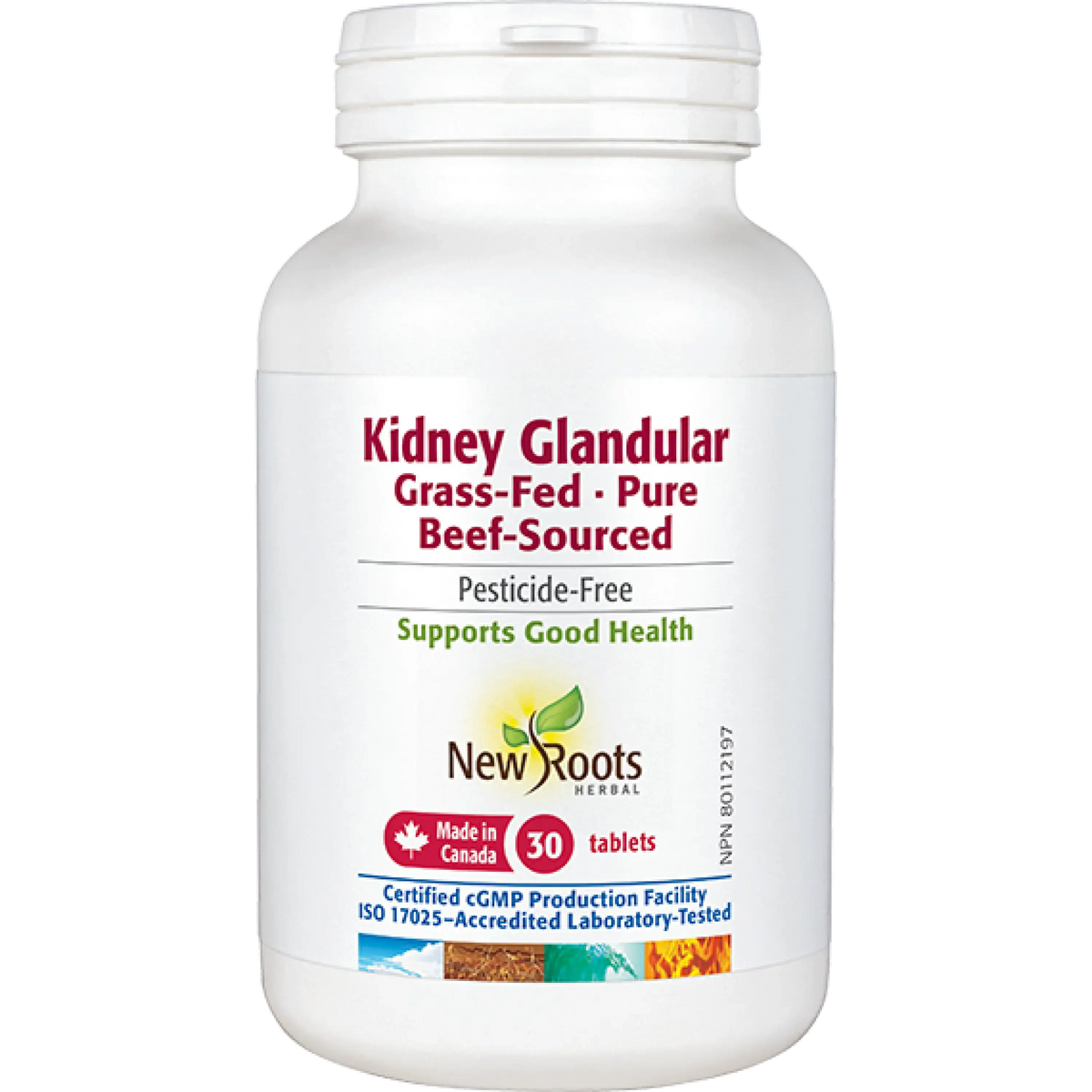 Kidney Glandular
