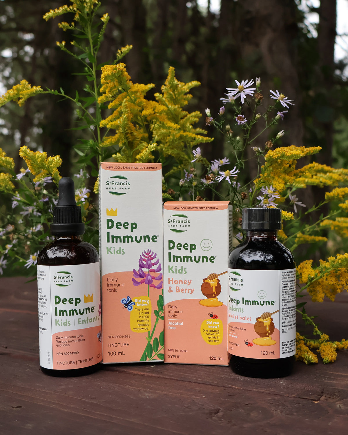 Deep Immune® Kids — Honey & Berry