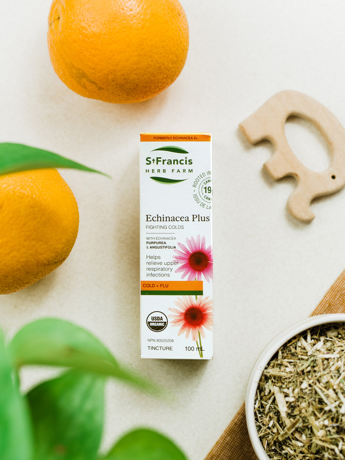 Echinacea Plus