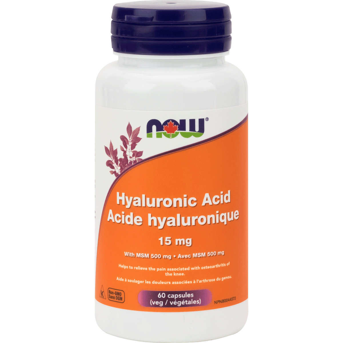 Hyaluronic Acid & MSM Capsules