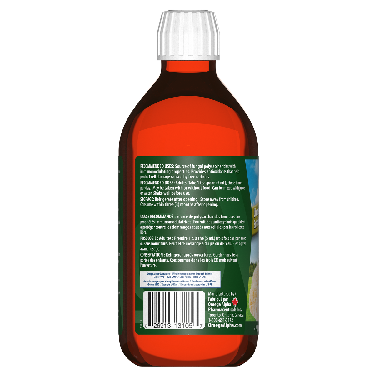 Lion's Mane Mushroom Extract