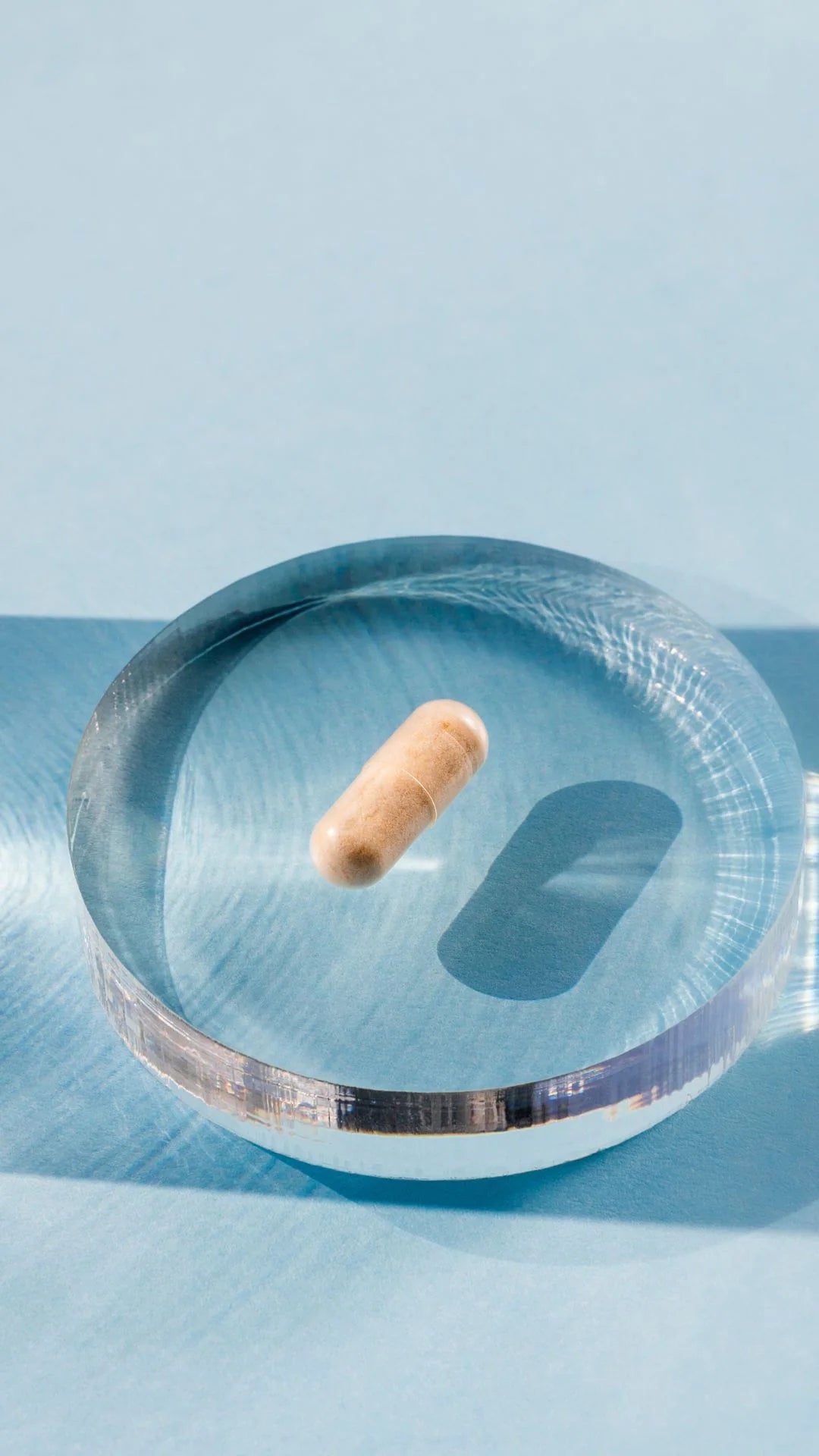 Perfect Probiotic Adults 50+ 50 Billion
