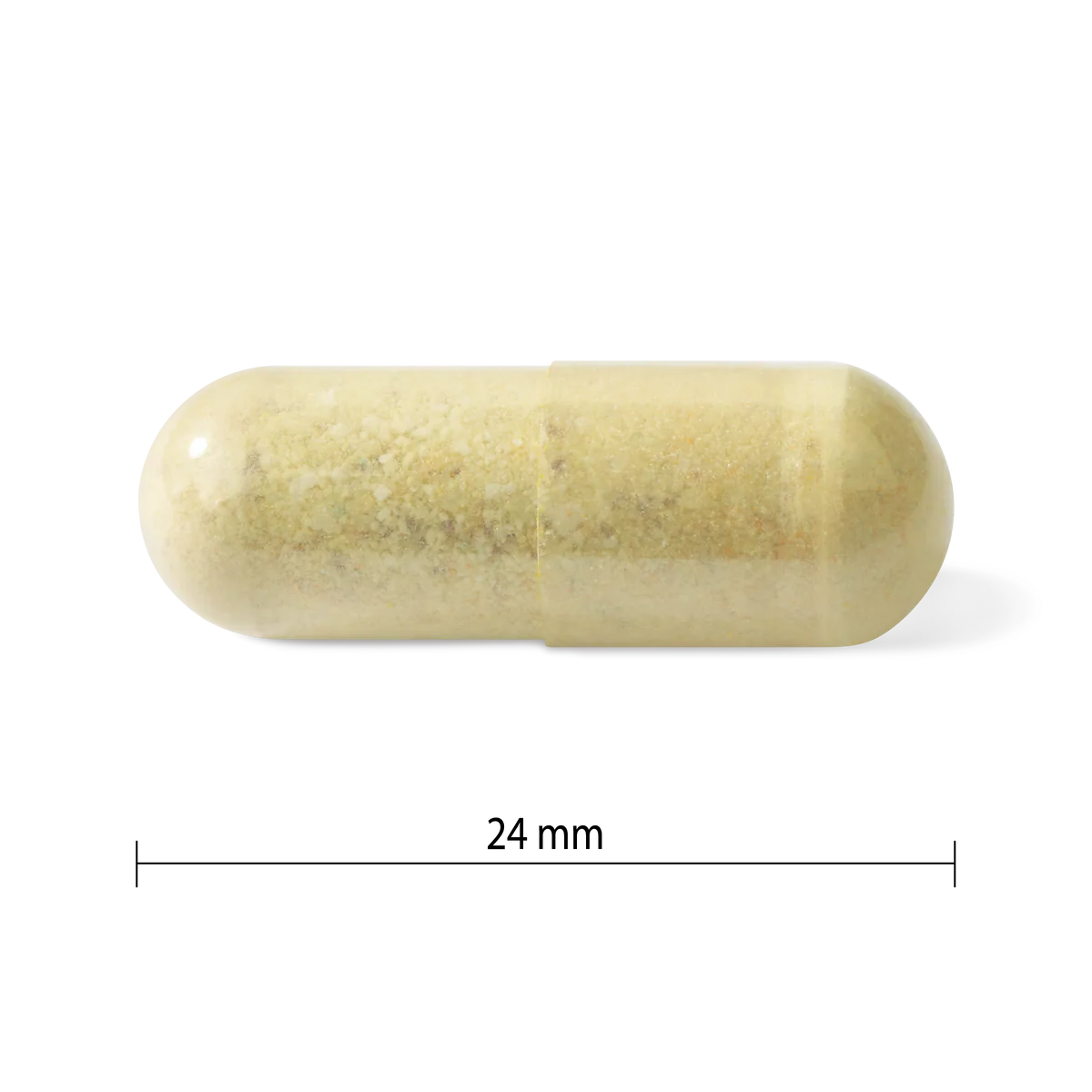 Prenatal Multivitamin