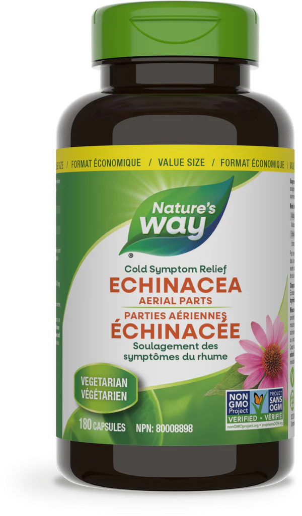 Echinacea