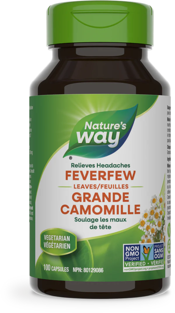 Feverfew Leaves