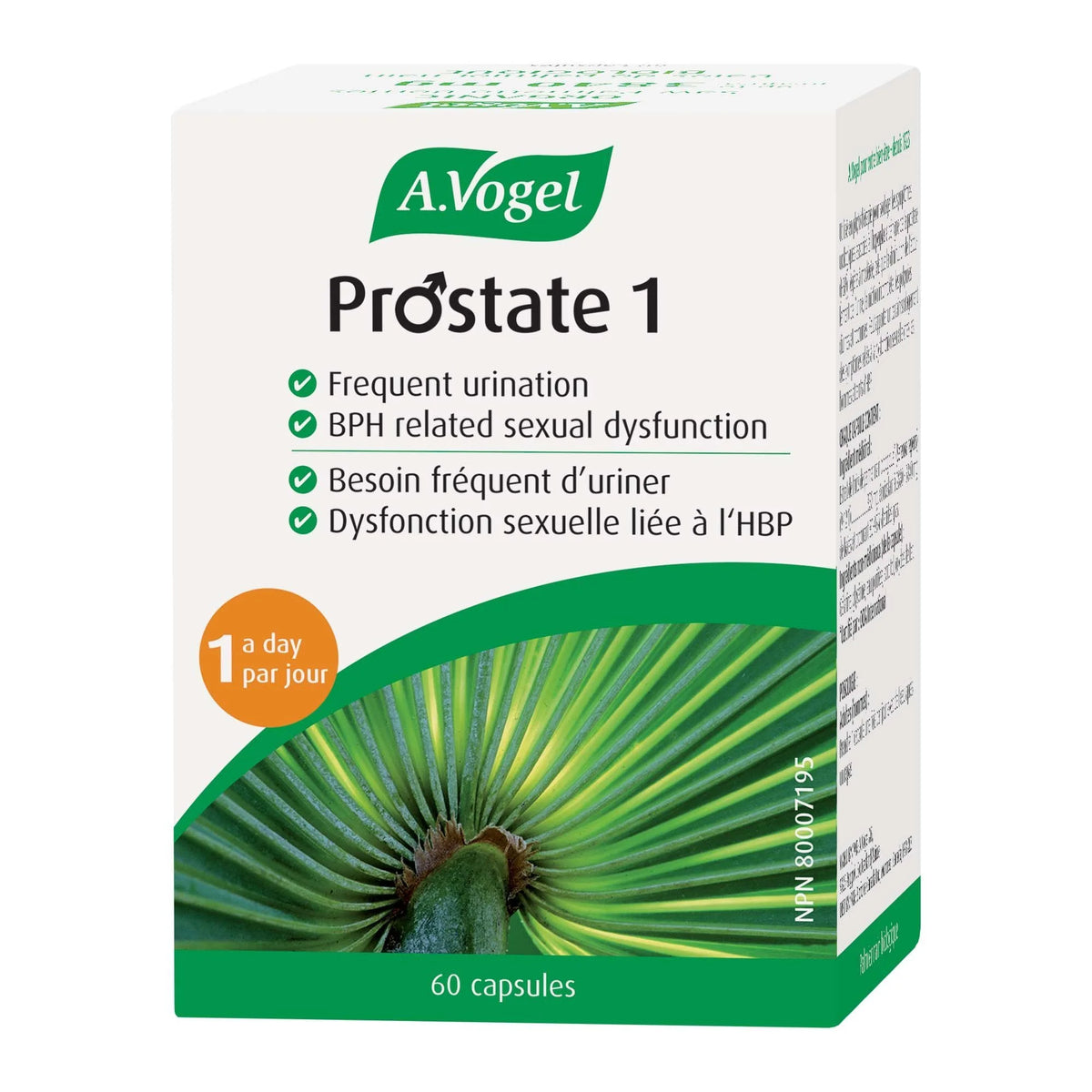 Prostate 1 a Day
