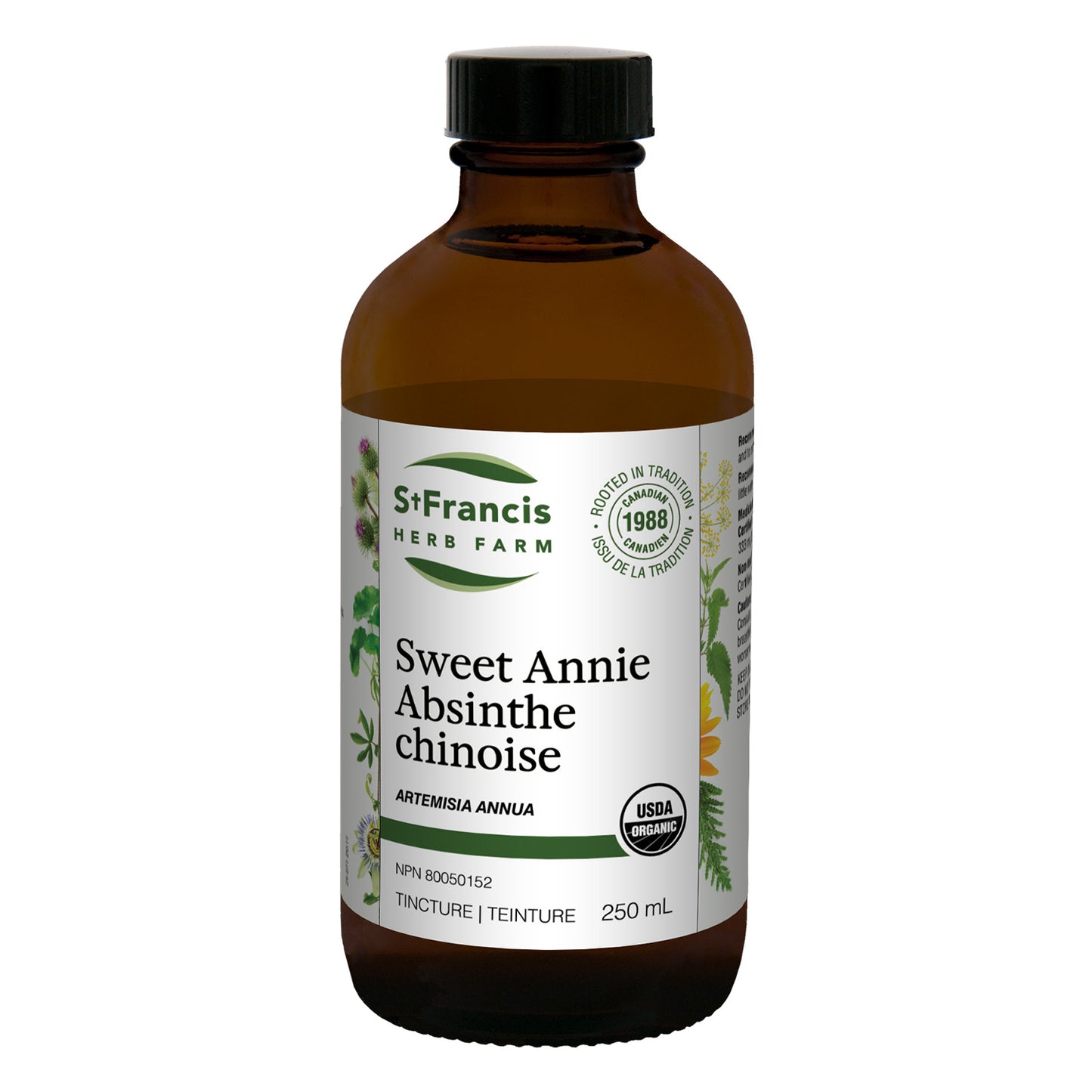 Sweet Annie Tincture