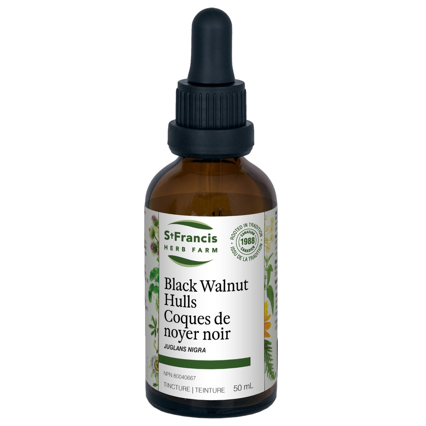 Black Walnut Hulls Tincture
