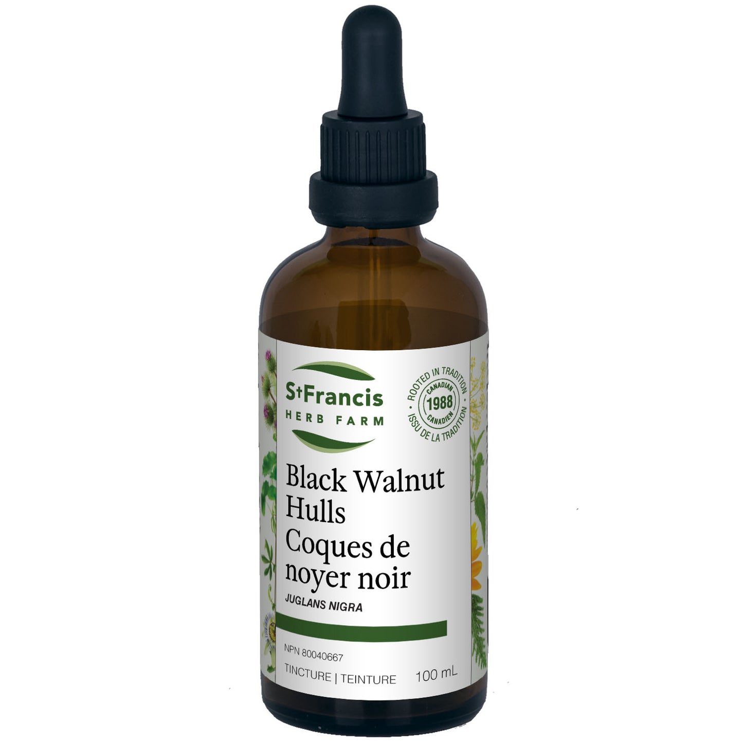 Black Walnut Hulls Tincture