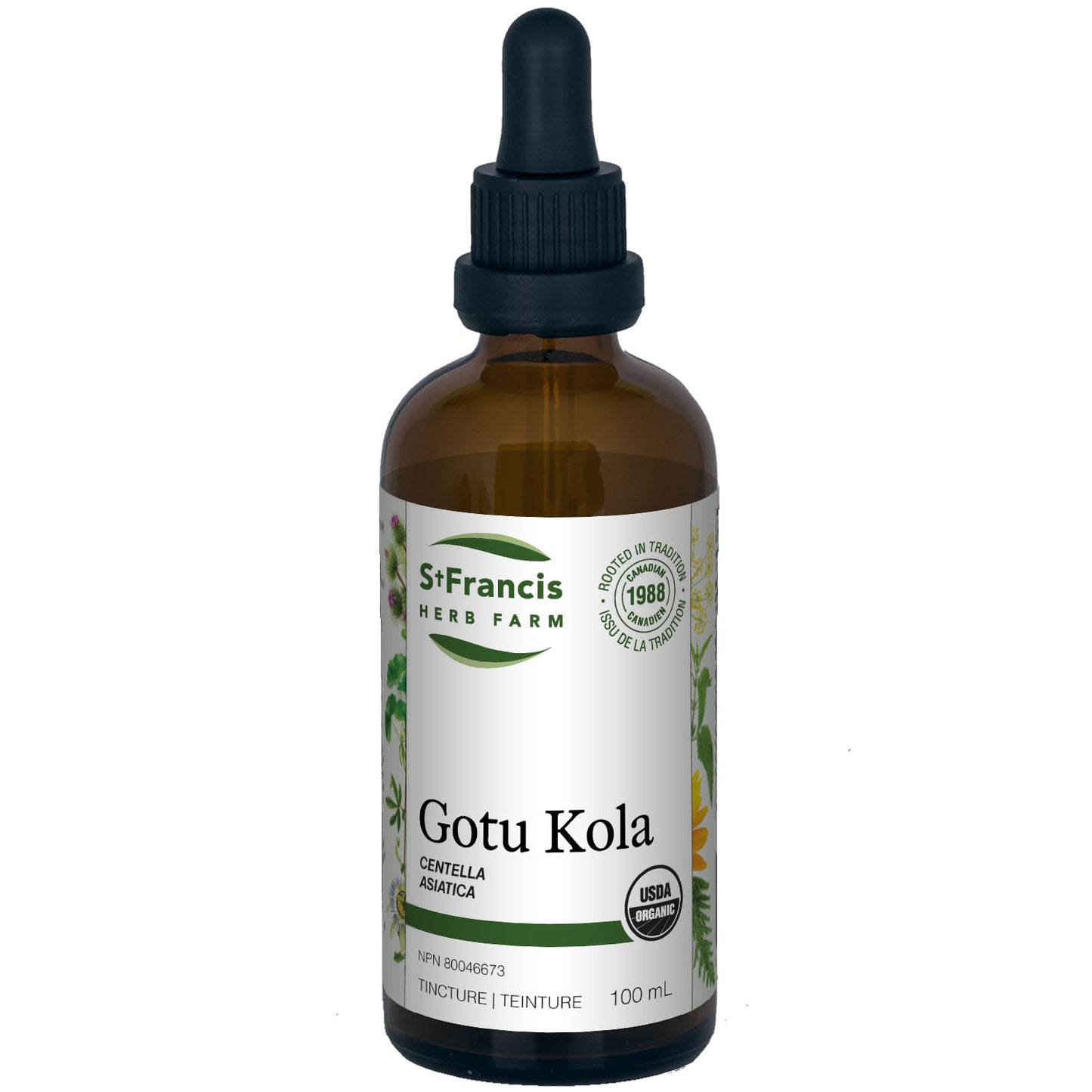 Gotu Kola Tincture