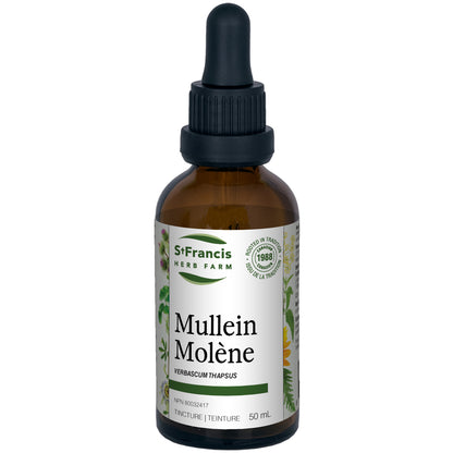 Mullein Tincture