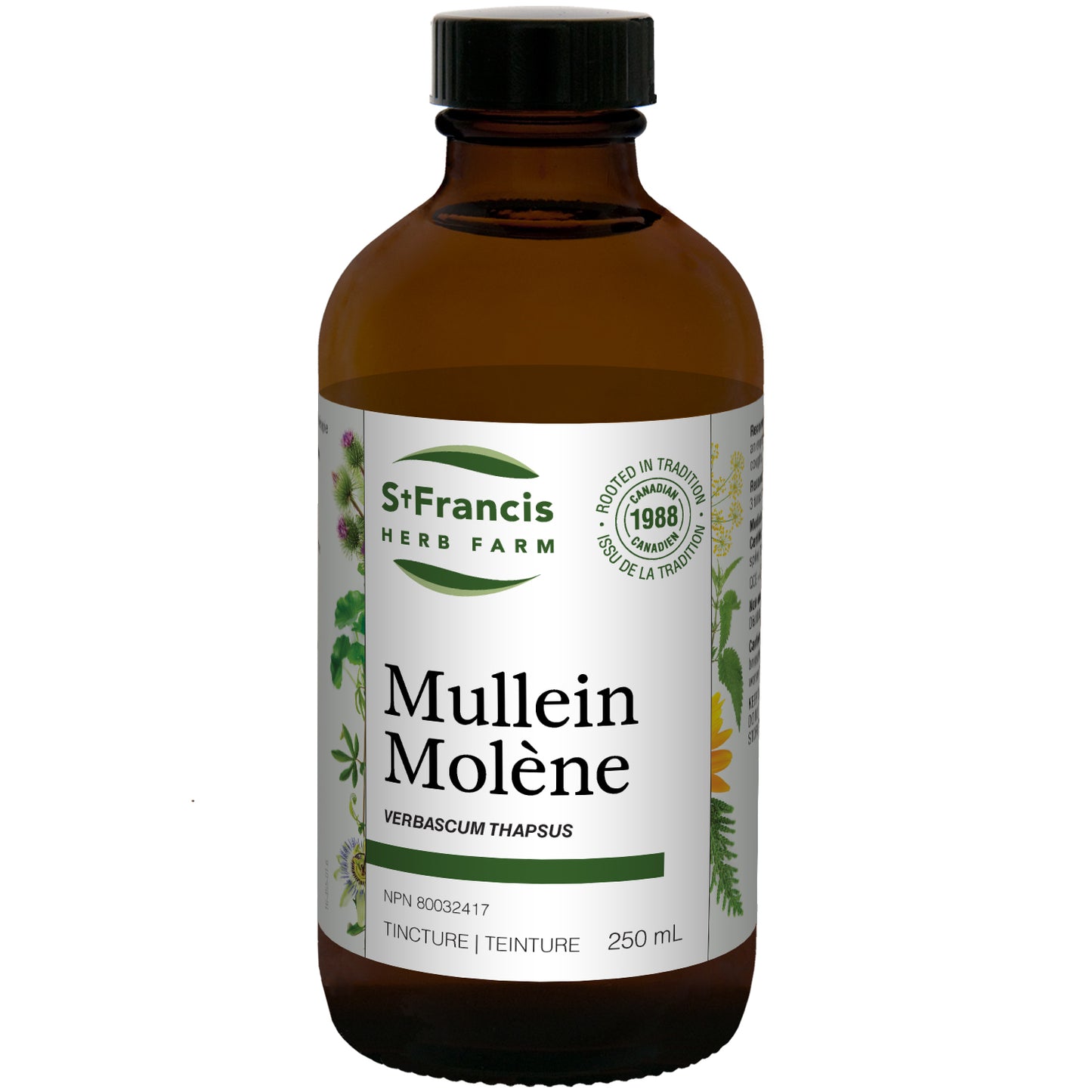 Mullein Tincture