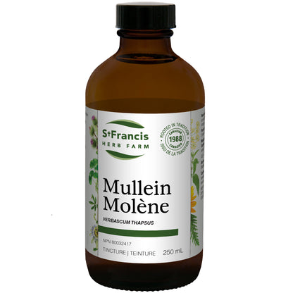 Mullein Tincture