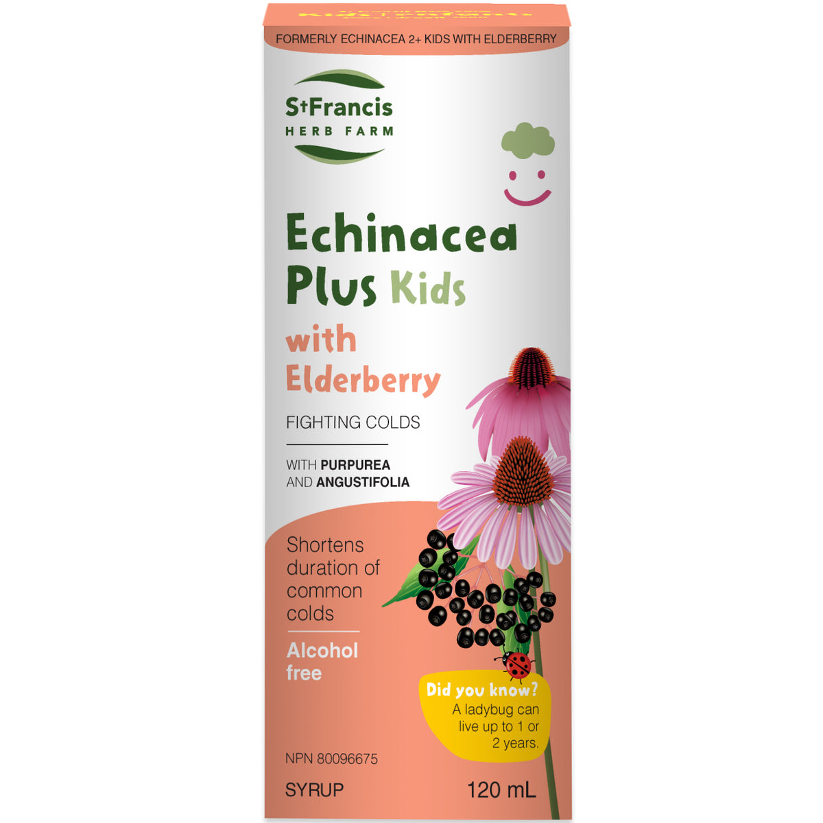 Echinacea Plus for Kids — with Elderberry