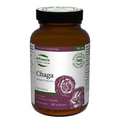Chaga Mushroom