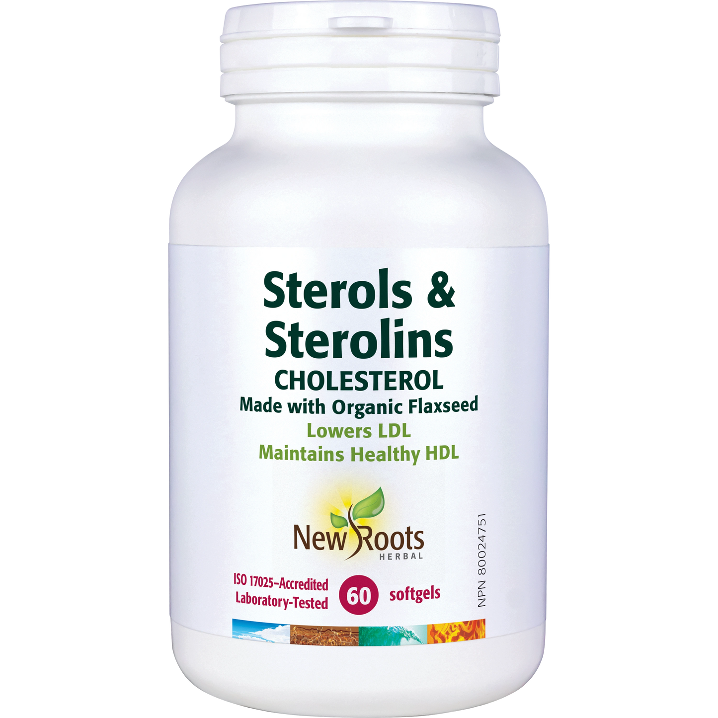 Sterols & Sterolins Cholesterol