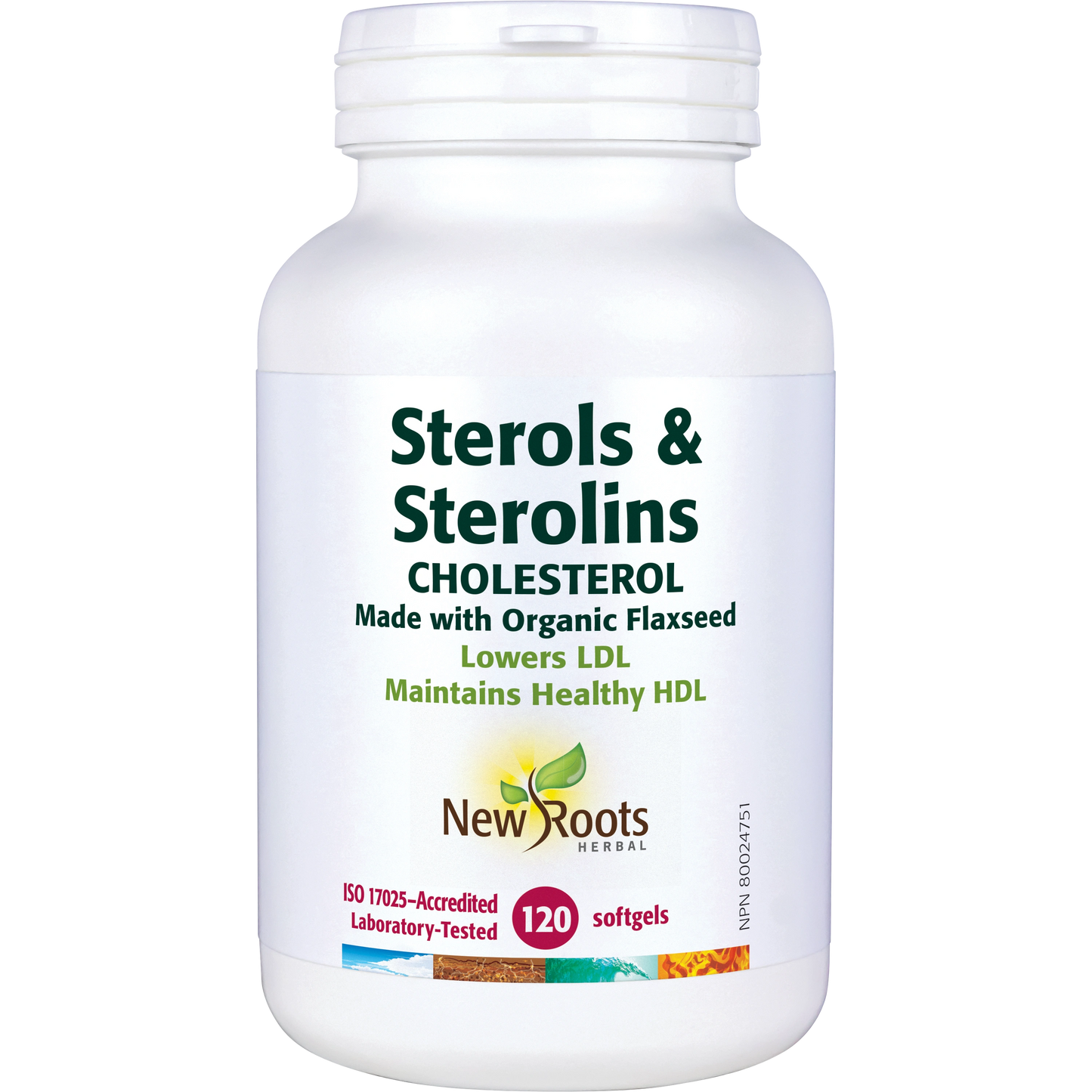 Sterols & Sterolins Cholesterol