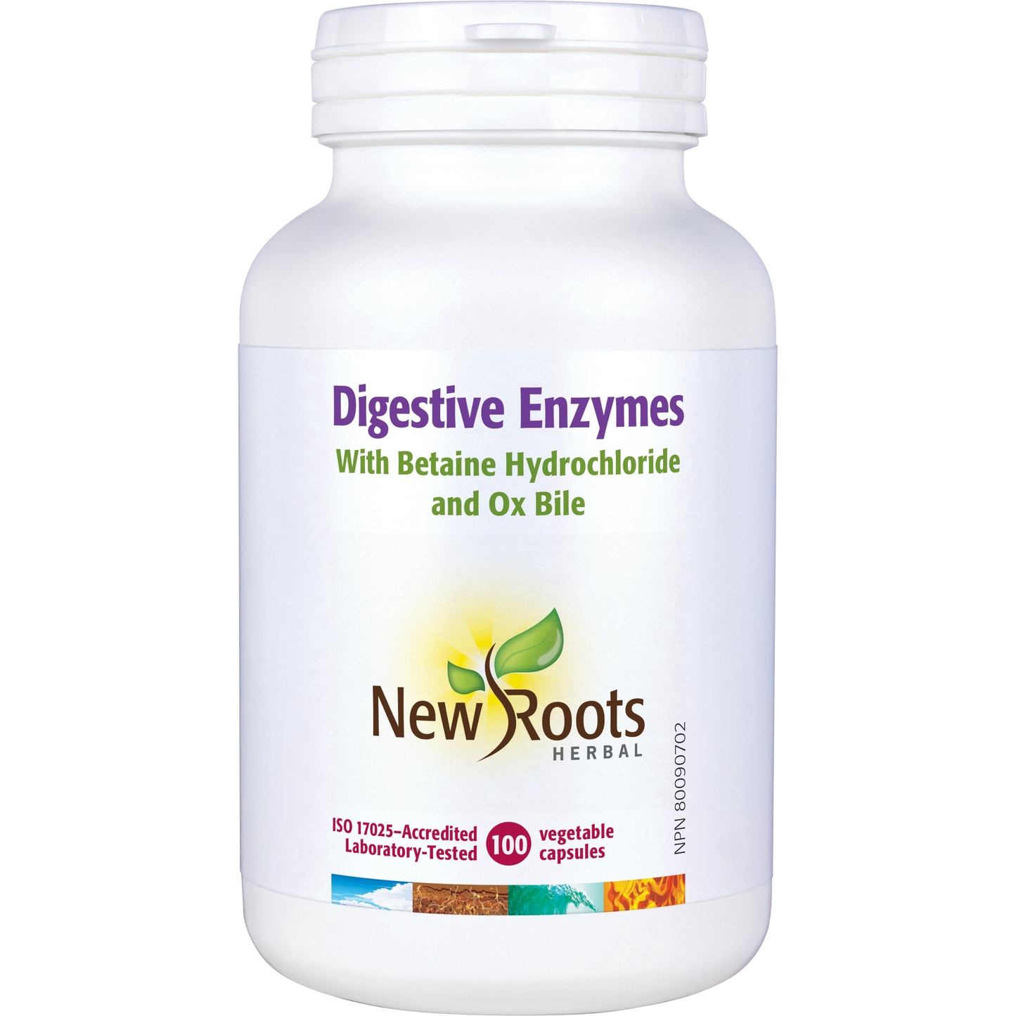 Digestive Enzymes