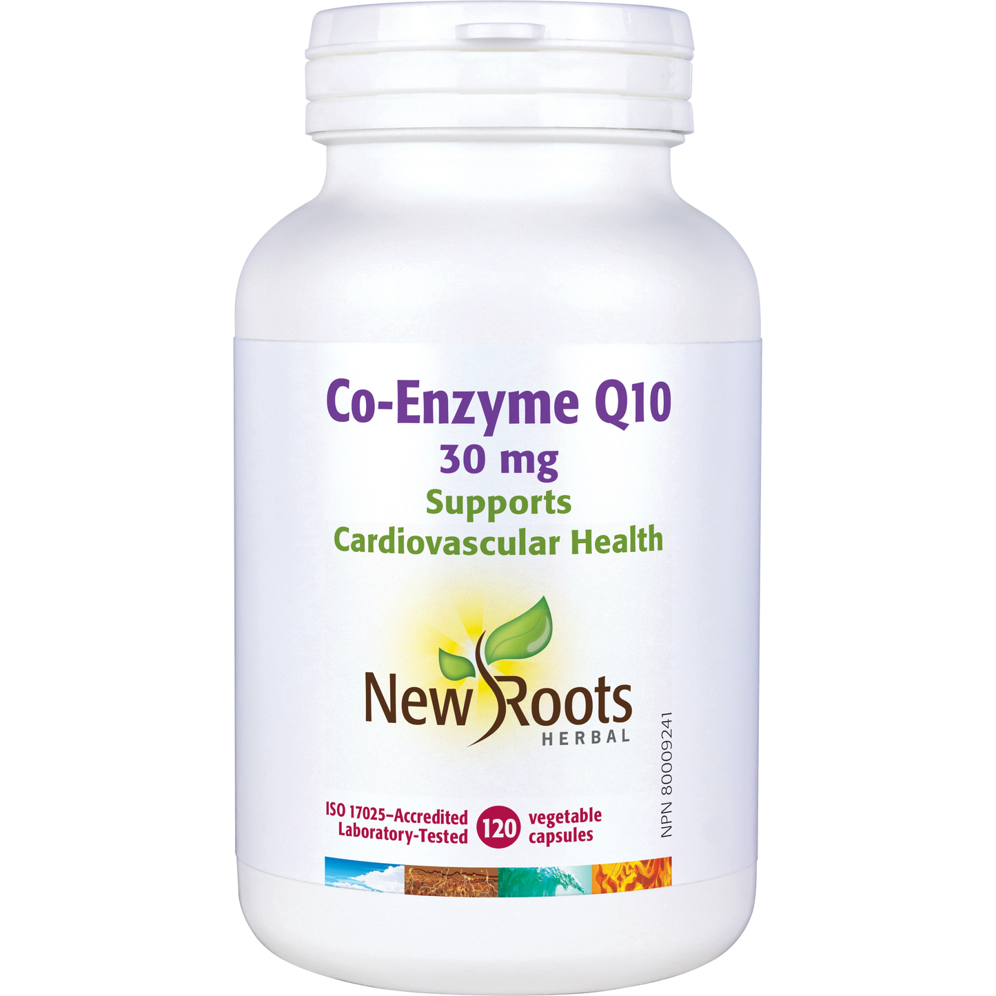 Co-Enzyme Q10