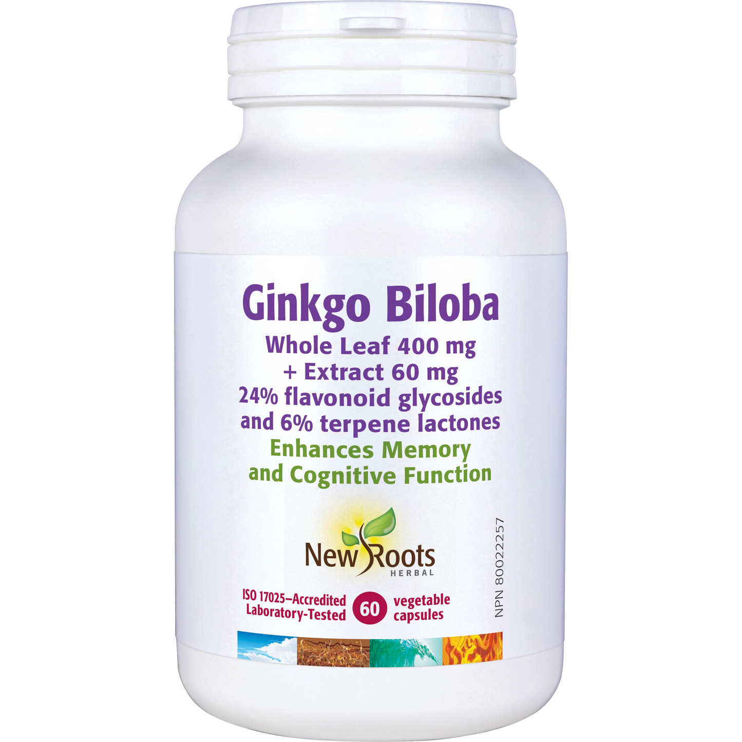 Ginkgo Biloba