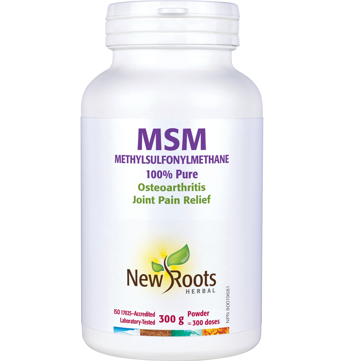MSM Powder