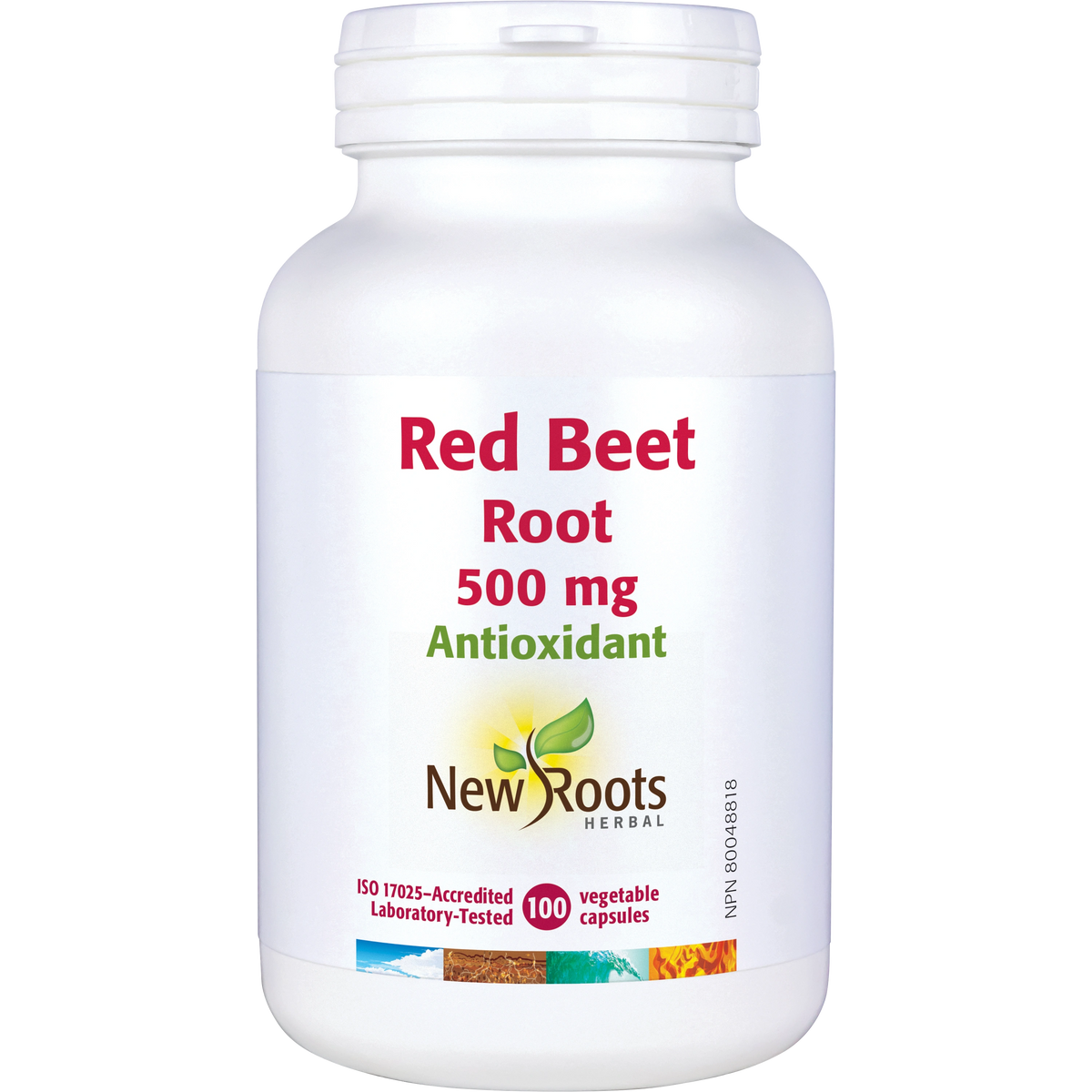 Red Beet Root