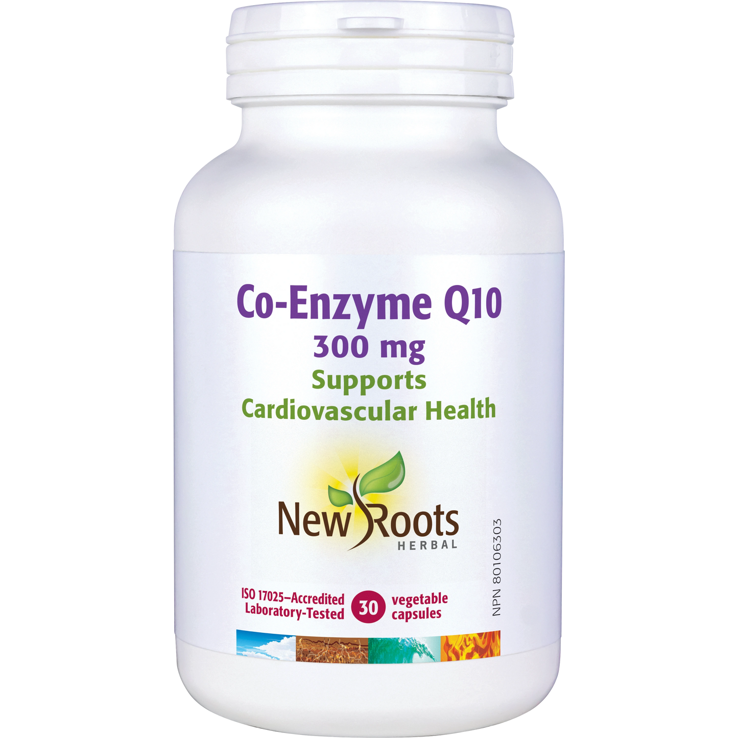 Co-Enzyme Q10