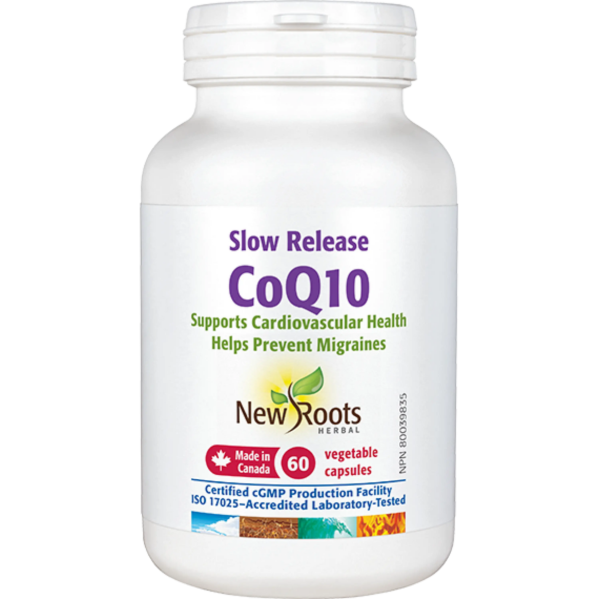Slow Release CoQ10