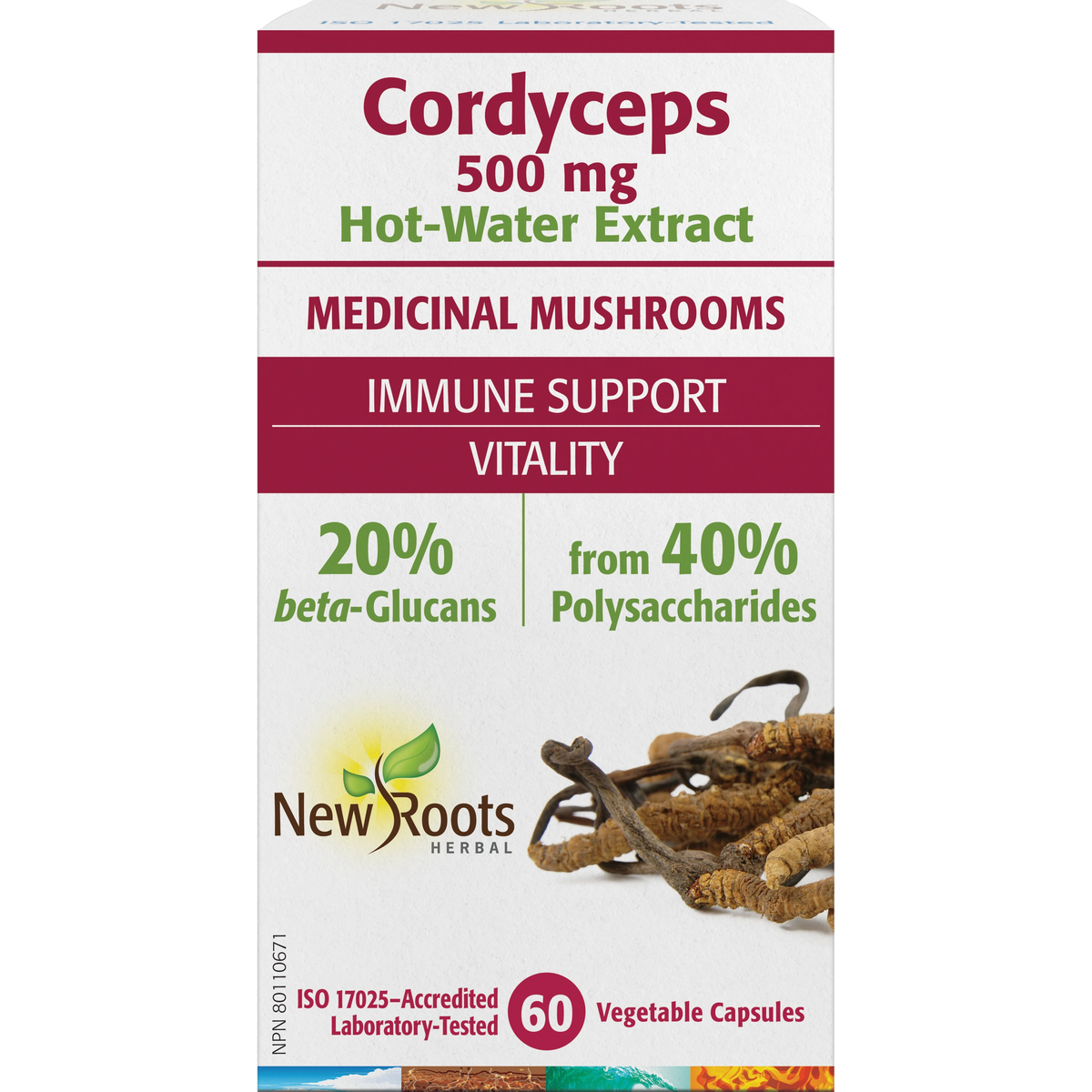 Cordyceps
