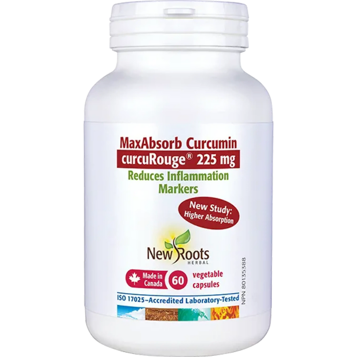 MaxAbsorb Curcumin