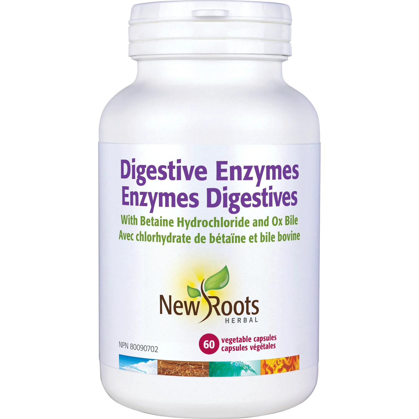 Digestive Enzymes