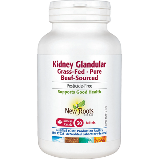 Kidney Glandular