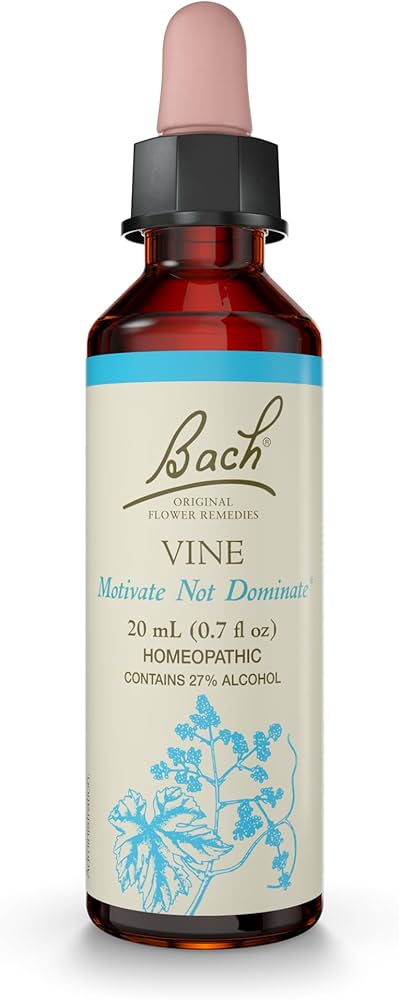 Vine