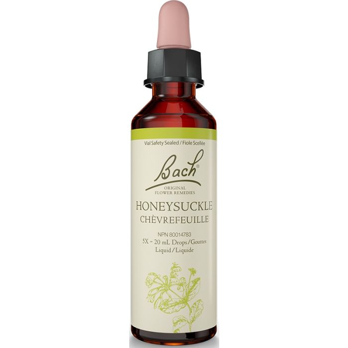 Honeysuckle