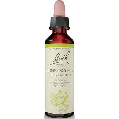 Honeysuckle
