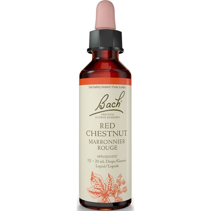 Red Chestnut