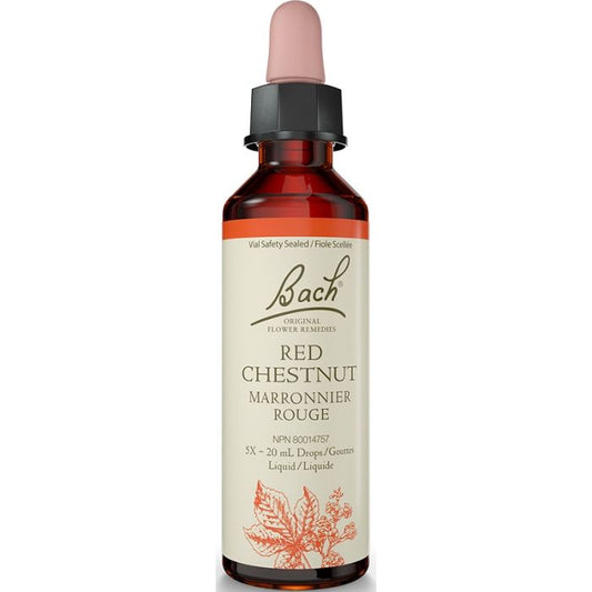 Red Chestnut
