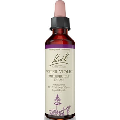 Water Violet