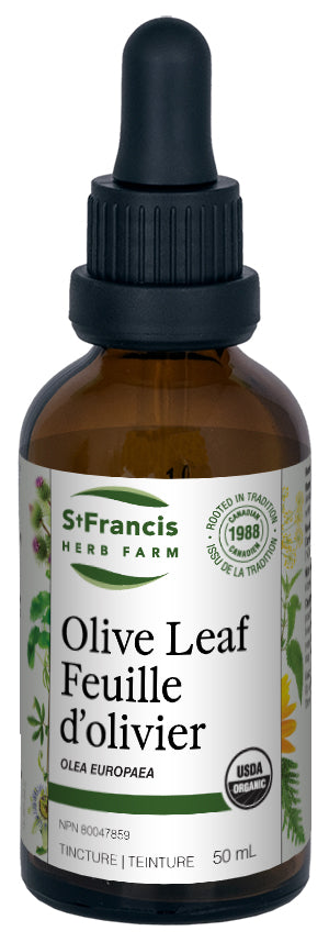 Olive Leaf Tincture