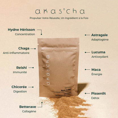 Root Coffee