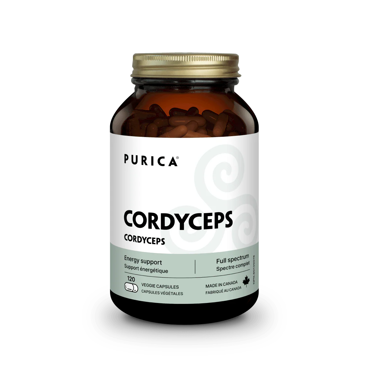 Cordyceps