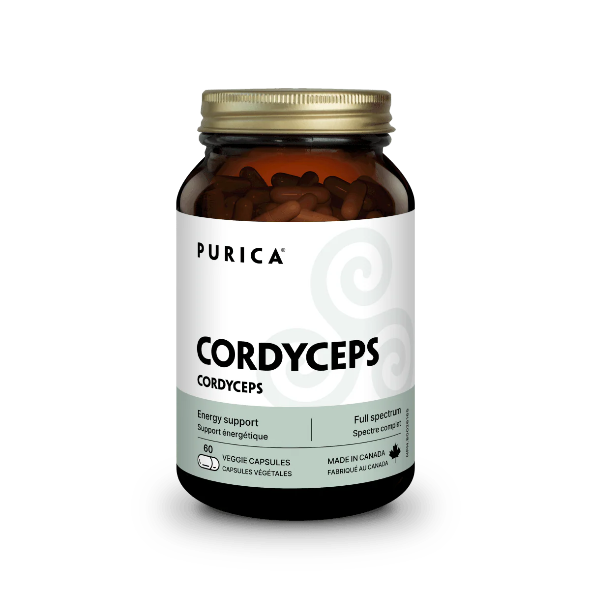 Cordyceps