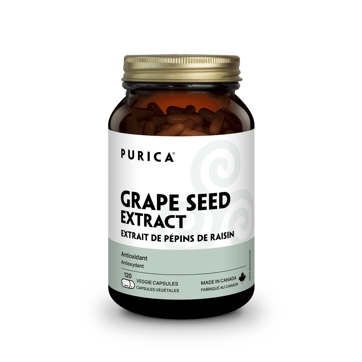 Grape Seed Extract