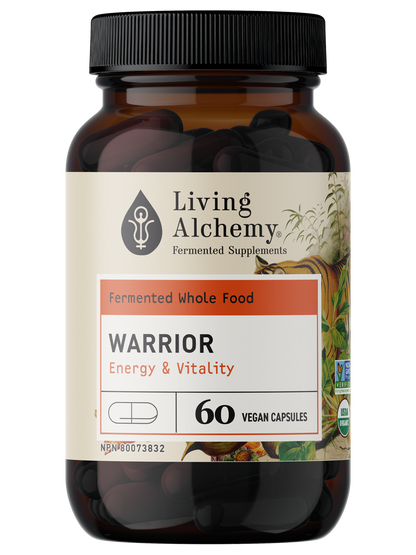Warrior