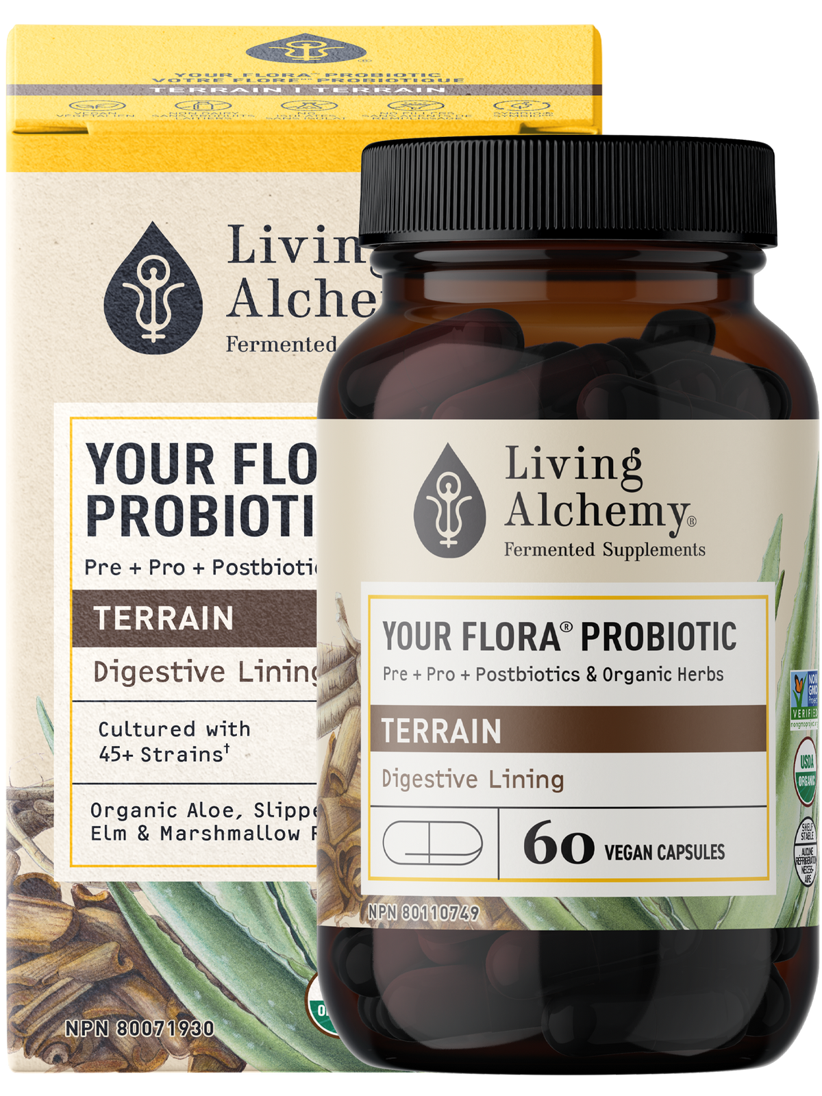 Your Flora® Probiotic Terrain