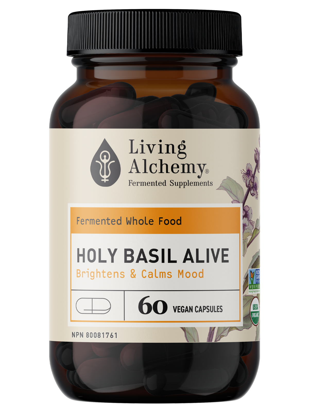 Holy Basil Alive